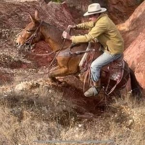 Meet your Posher, Trevor